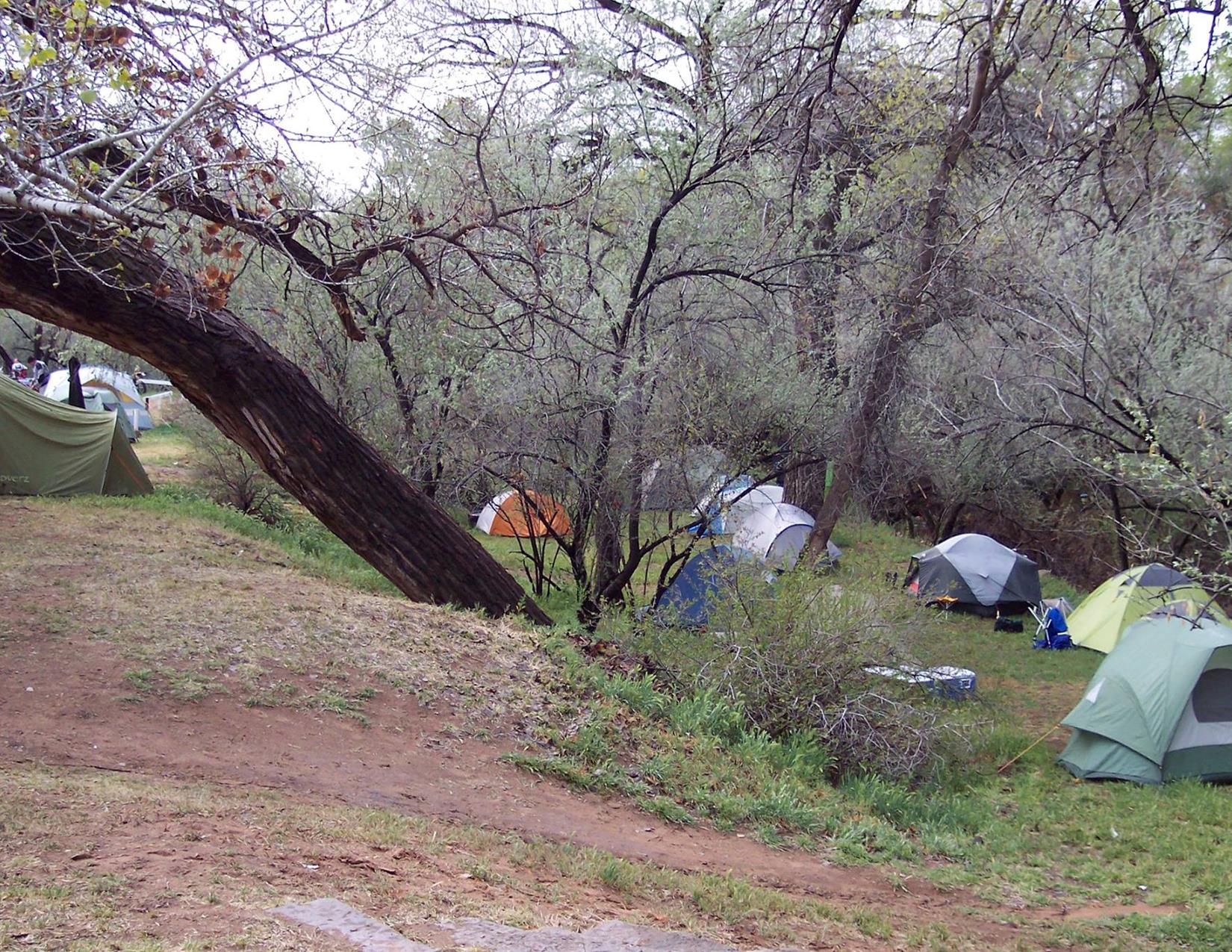 tentsite Pack Creek Campground & RV ParkPack Creek Campground & RV Park